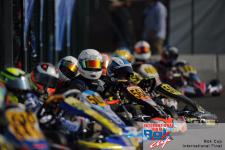 CIK-FIA MS - Easy - Rok Cup - IAME - statistika ..