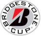 Finálový závod Brid_clanekgestone Cup 2010 ...